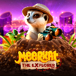 Meerkat The Explorer